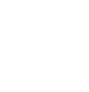 安防领域